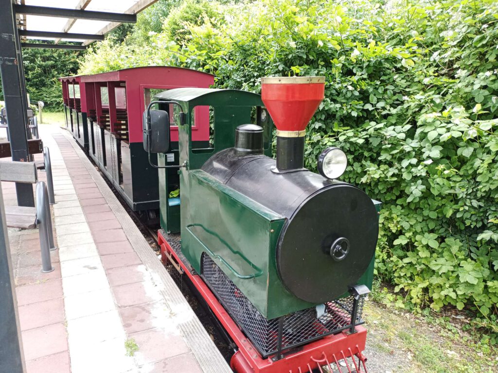 Er staat een locomotief voor de trein die oogt als een stoomstrein met een zwarte ketel en een rode stoompijp. De rest is in het groen. De wagons erachter zijn de onderste helftzwart, de bovenste helft rood.