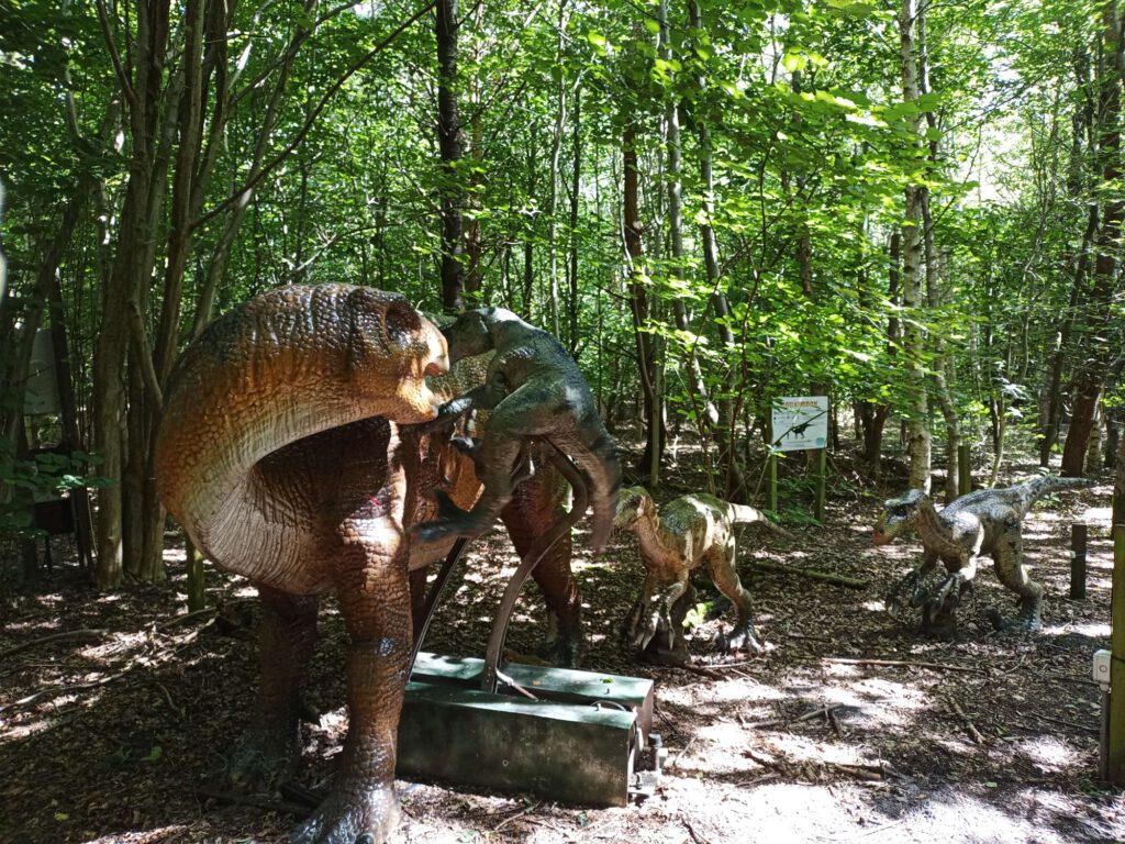 Een scene in het dinobos, waarbijeen grote dino word aangevallen door een kleinere. Erom heen staan diverse kleine dinosaurussen.
