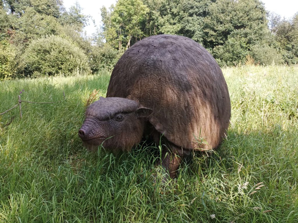 Een gordeldier die heel groot is afgebeeld zit in het gras.