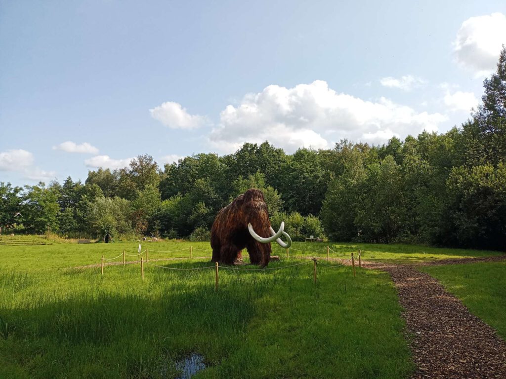 Een mammoet loopt op het gras. Hij is bruin met witte slagtanden. Gelukkig zit er een hek van een touw om heen.