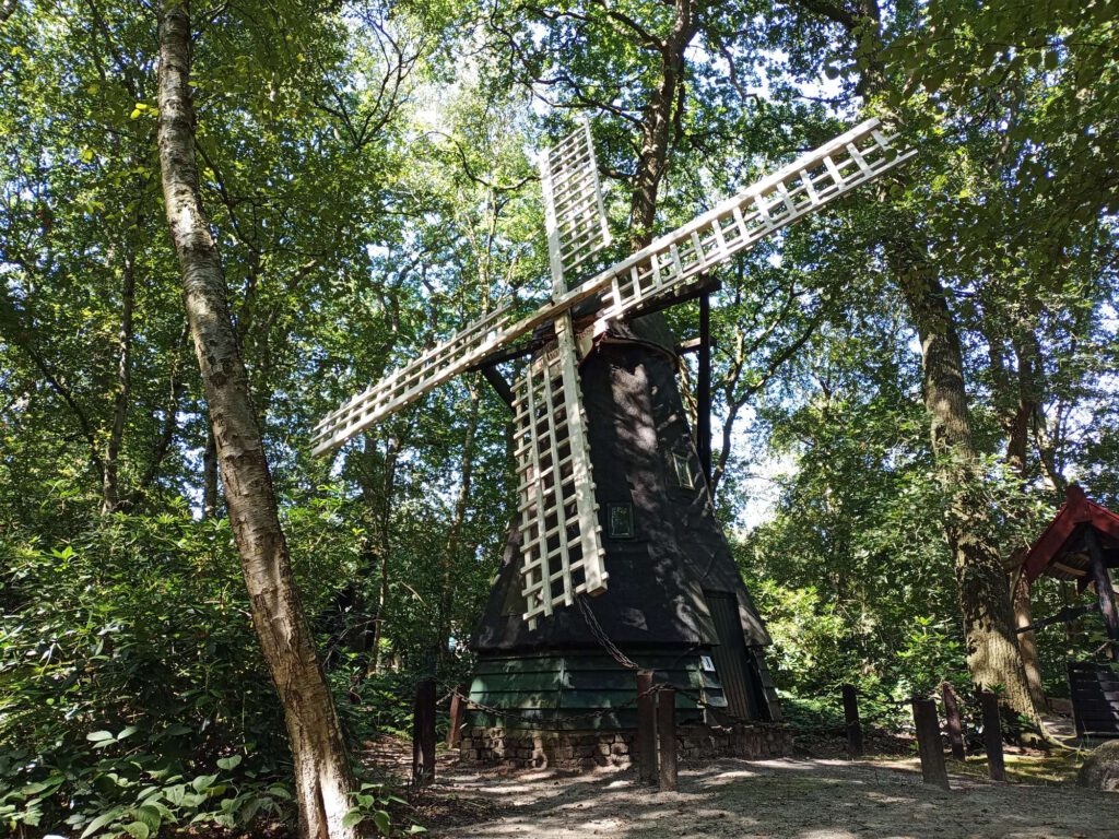 In het bos staat een kleine molen van hout in een groene kleur. De wieken is een witte kleur.