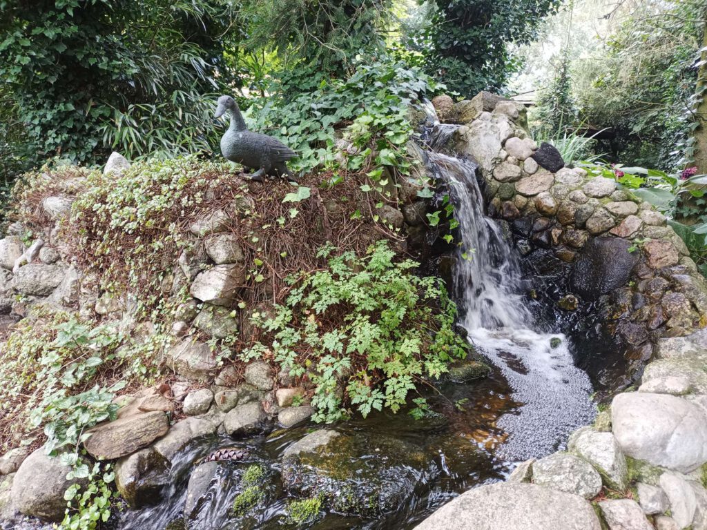 Een kleine waterval ligt in het park, met beelden van eenden.